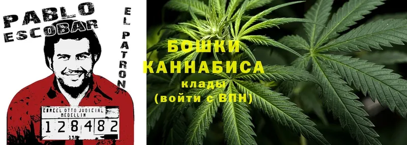 Конопля Ganja  Нытва 